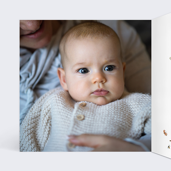 Faire part naissance Papillon et Fleurs Intérieur Gauche