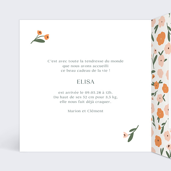 Faire part naissance Petite Graine Intérieur Gauche