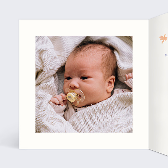 Faire part naissance Petits oiseaux Intérieur Gauche