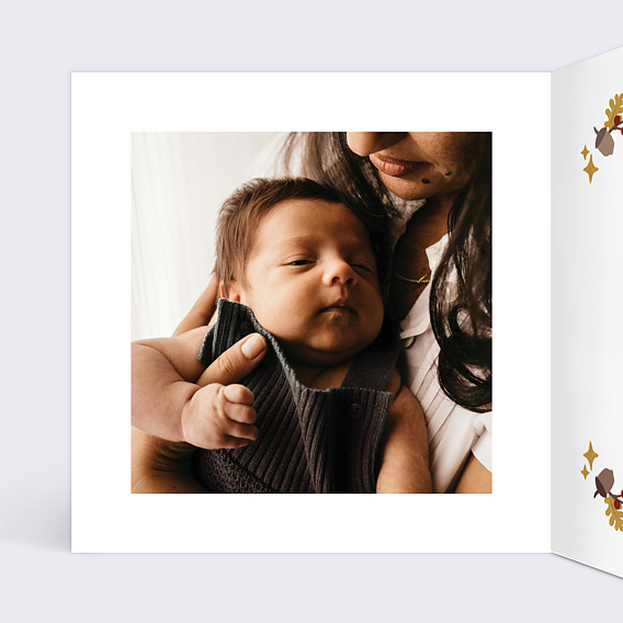 Faire part naissance Picto forêt Intérieur Gauche