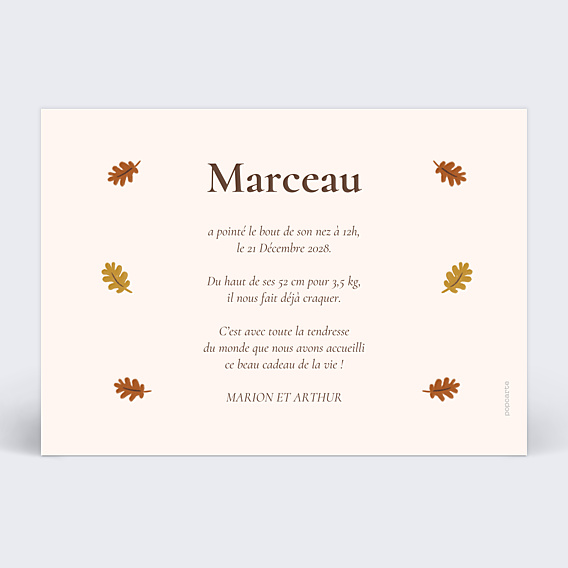 Faire-part Naissance Renard picto