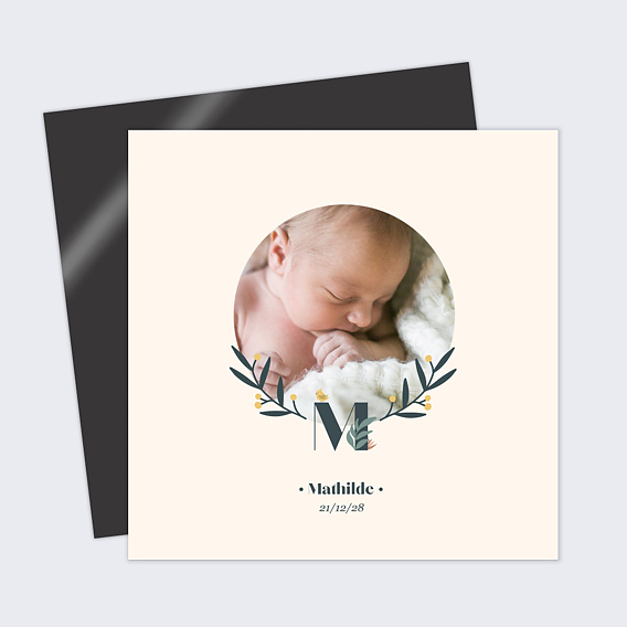 Faire part naissance Mésange Couronne