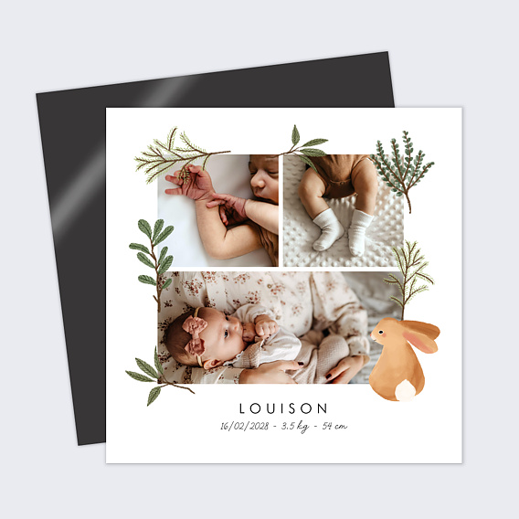 Faire part naissance Lapin Forêt Carré
