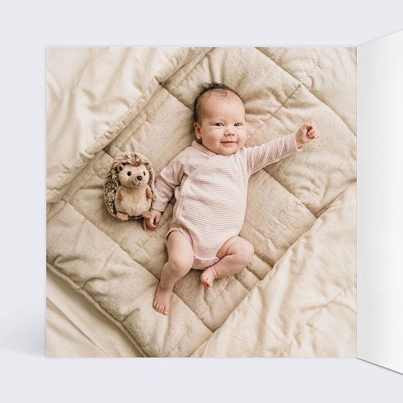 Faire-part Naissance Le groupe d’animaux