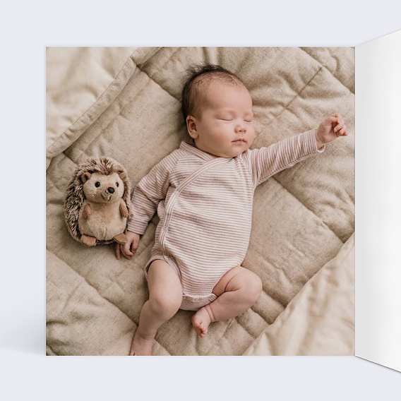 Faire part naissance Le groupe d’animaux Intérieur Gauche