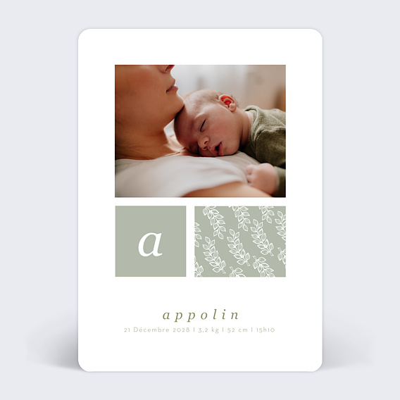 Faire part naissance Tilleul Après 4