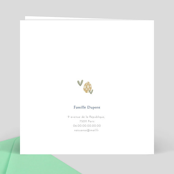 Faire part naissance Dinosaures Verso