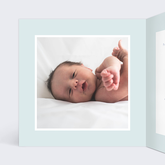 Faire part naissance Oisillons Intérieur Gauche