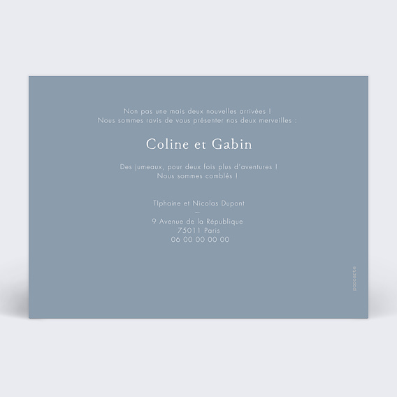 Faire part naissance Pictogrammes Jumeaux Verso