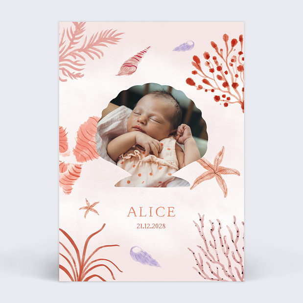 Faire-part Naissance Pleine Mer