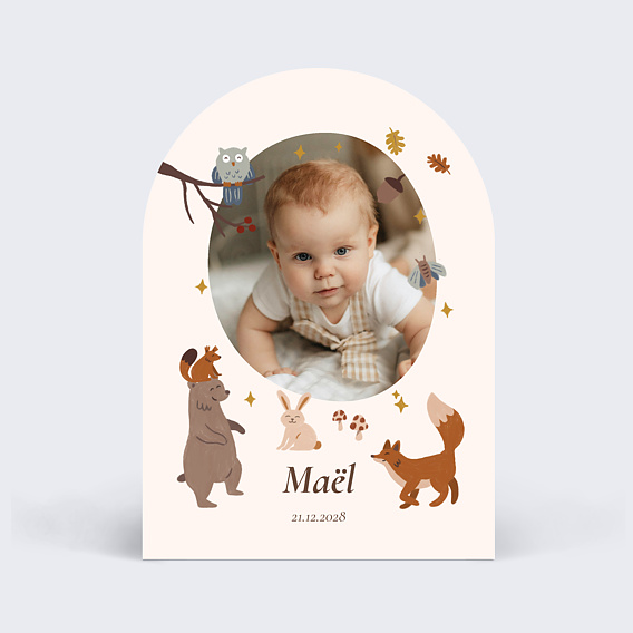 Faire part naissance Amis de la forêt