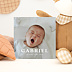Faire-part Naissance Pleine Page