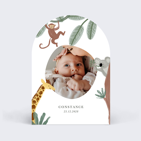 Faire part naissance Amis de la jungle