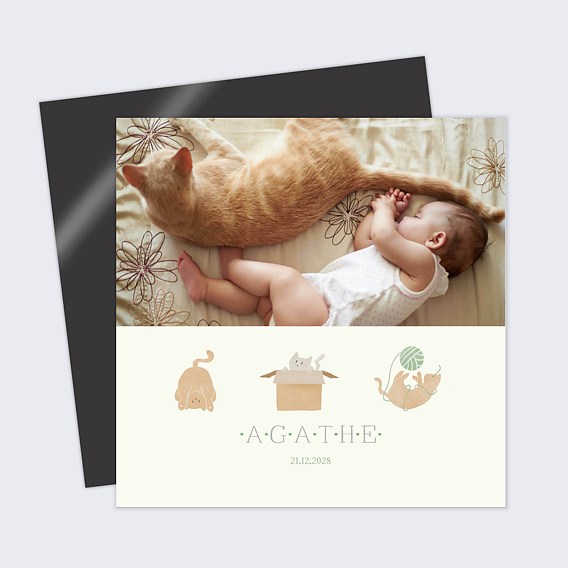 Faire part naissance Chaton Mignon