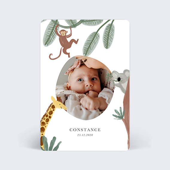 Faire-part Naissance Amis de la jungle