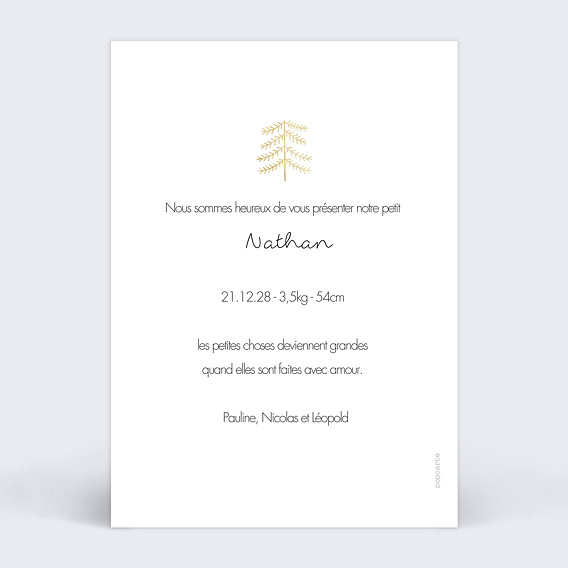 Faire part naissance Hiver Magique Verso