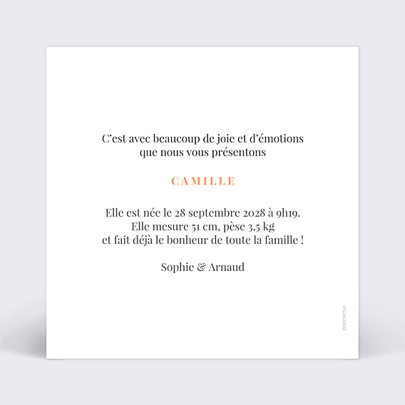 Faire-part Naissance Simplicité Grande Photo