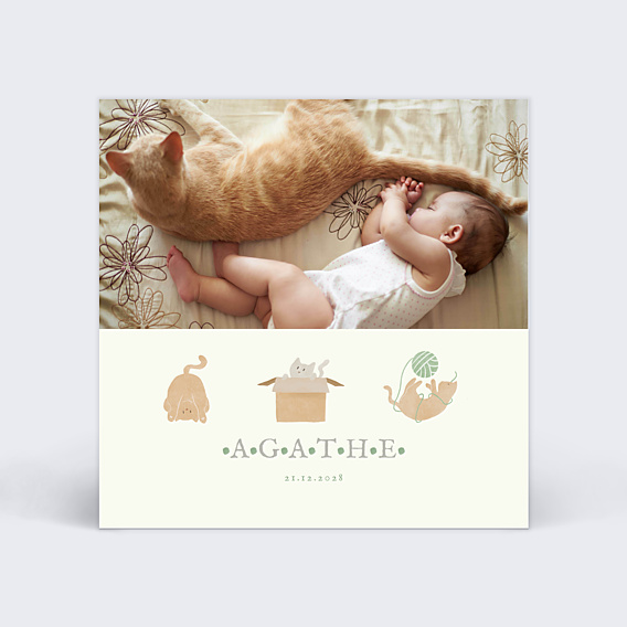 Faire part naissance Chaton Mignon