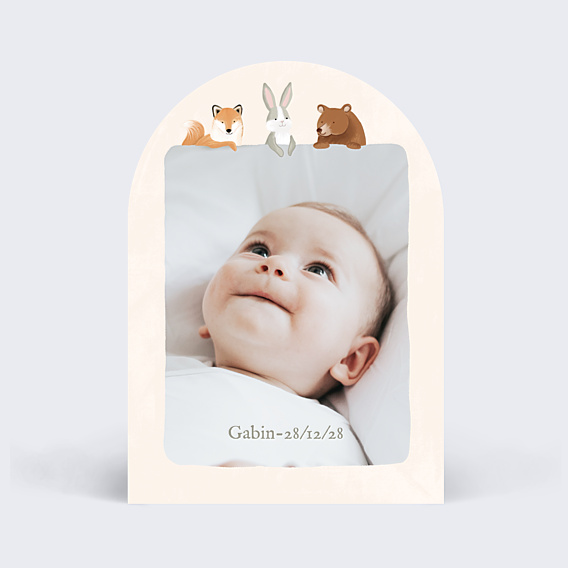 Faire-part Naissance Découverte en forêt