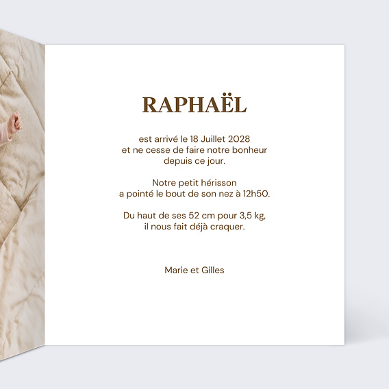Faire-part Naissance Le groupe d’animaux