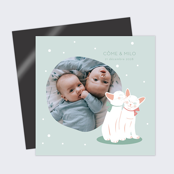 Faire part naissance Chat