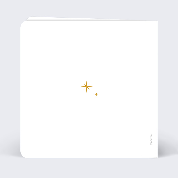 Faire part naissance Bébé Etoile Verso