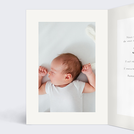 Faire-part Naissance Animaux pattern
