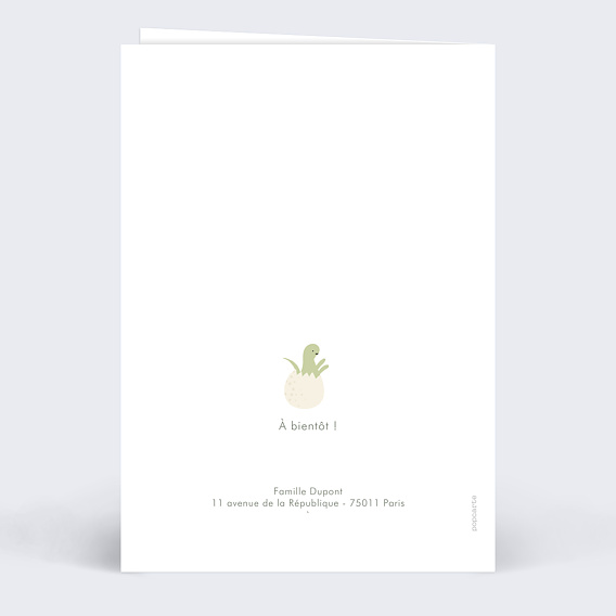 Faire part naissance Dinosaure Mignon Verso