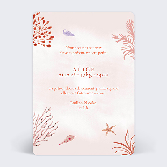 Faire-part Naissance Pleine Mer