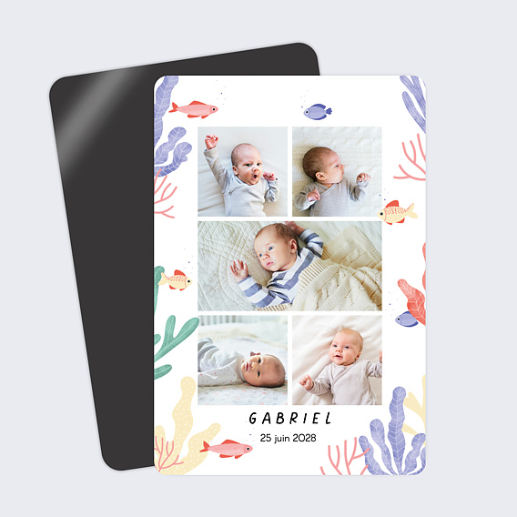 Faire part naissance Aquatique