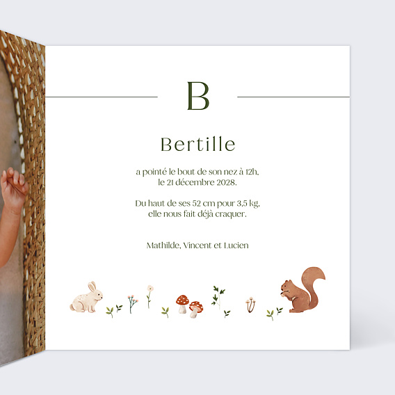 Faire-part Naissance Lettrine Foret