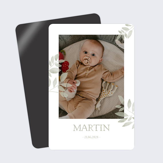 Faire-part Naissance Jolis brins