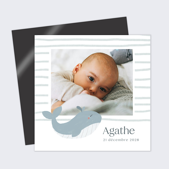 Faire part naissance Baleine Photo