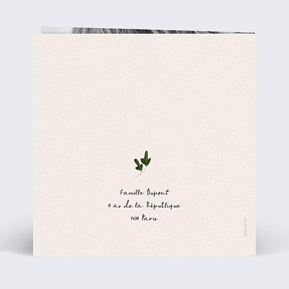 Faire-part Naissance Joli Renard