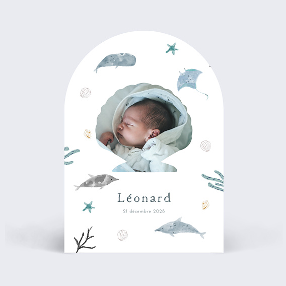 Faire part naissance Monde Marin