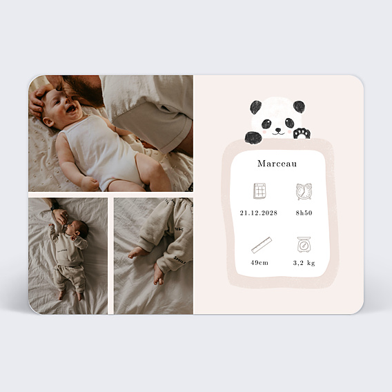 Faire-part Naissance Pictos panda