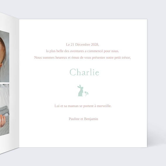 Faire part naissance Lapin des Champs Intérieur Droit