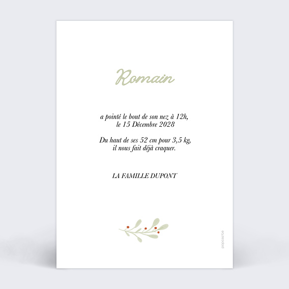 Faire part naissance Forêt de Noël Verso
