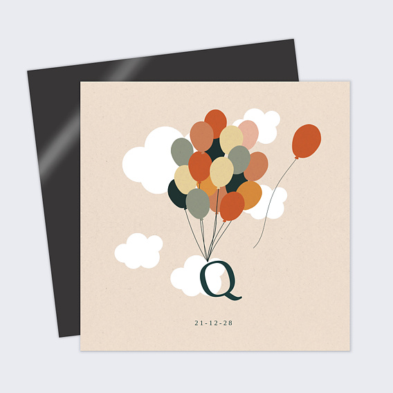 Faire part naissance Envolée