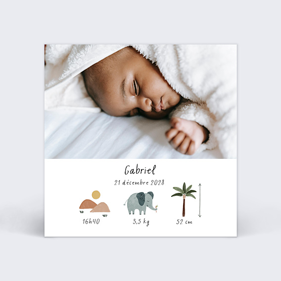 Faire part naissance Pictos savane