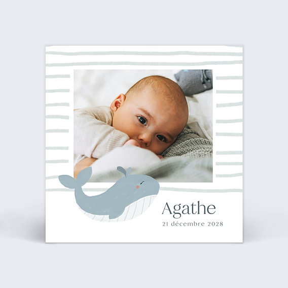 Faire-part Naissance Baleine Photo