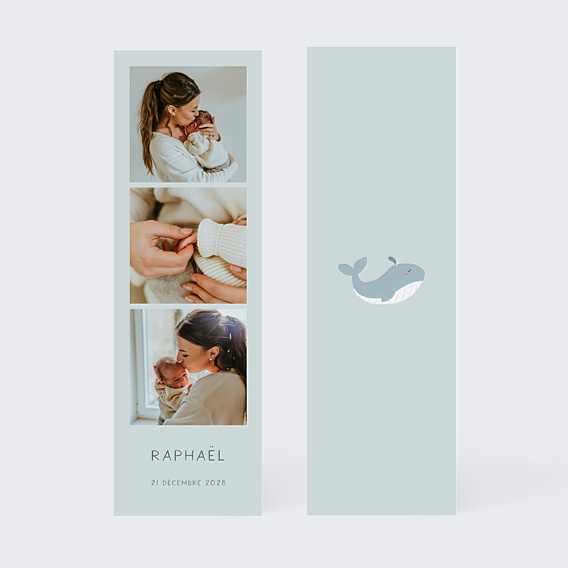 Faire-part Naissance Baleine certificat