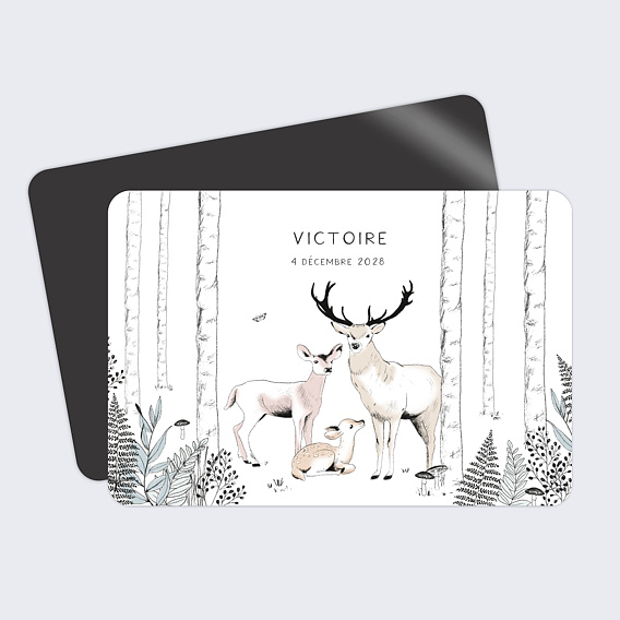 Faire part naissance Animaux de la Forêt