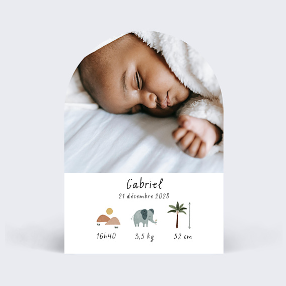 Faire-part Naissance Pictos savane