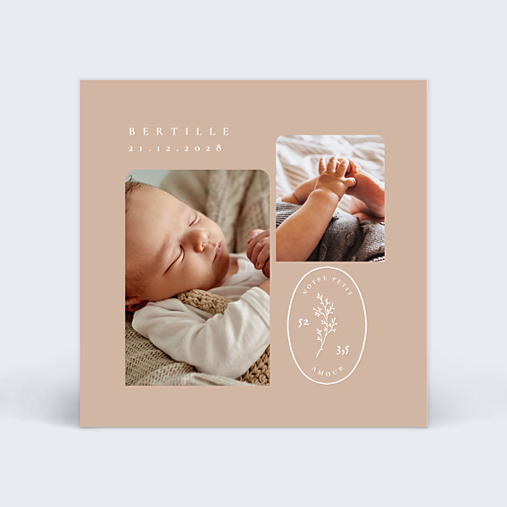 Faire-part Naissance Petite Brindille