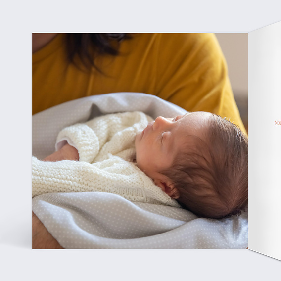 Faire part naissance Papillon Rose Intérieur Gauche