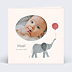 Faire-part Naissance Éléphant joueur