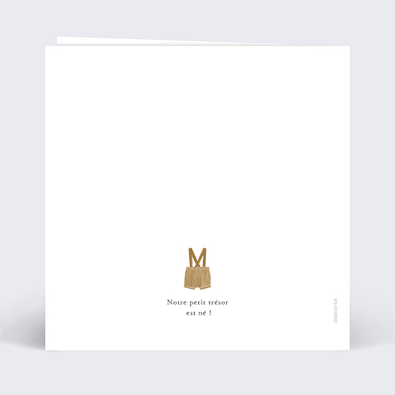 Faire part naissance Petits Vêtements Garçon Verso