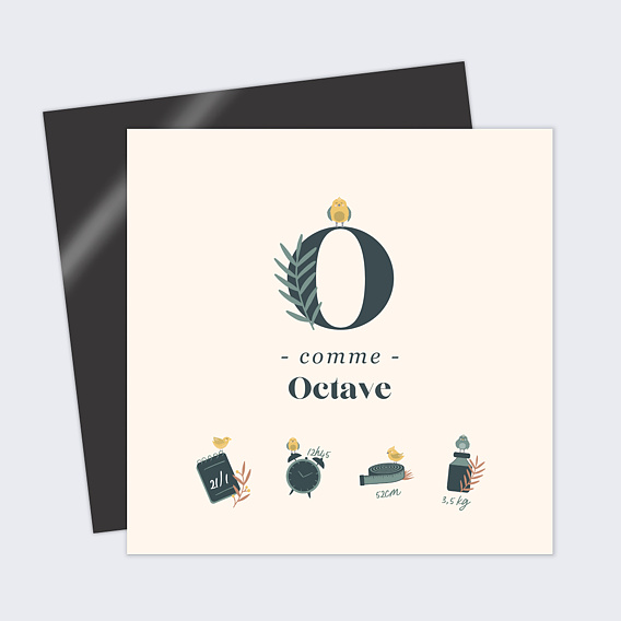 Faire part naissance Certificat Mésange