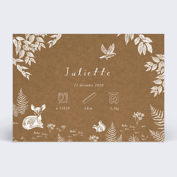 Faire part naissance Crayon Blanc Kraft Recto